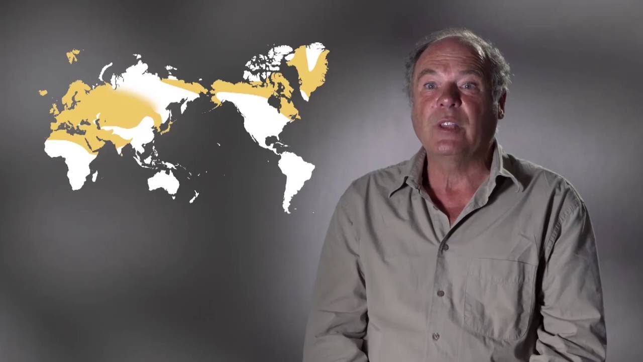 Le langage : Origine(s) des langues 1/4