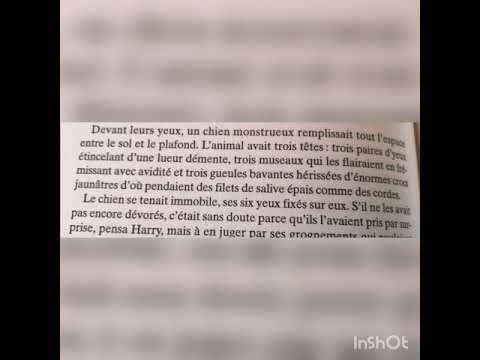 Correction dictée 1