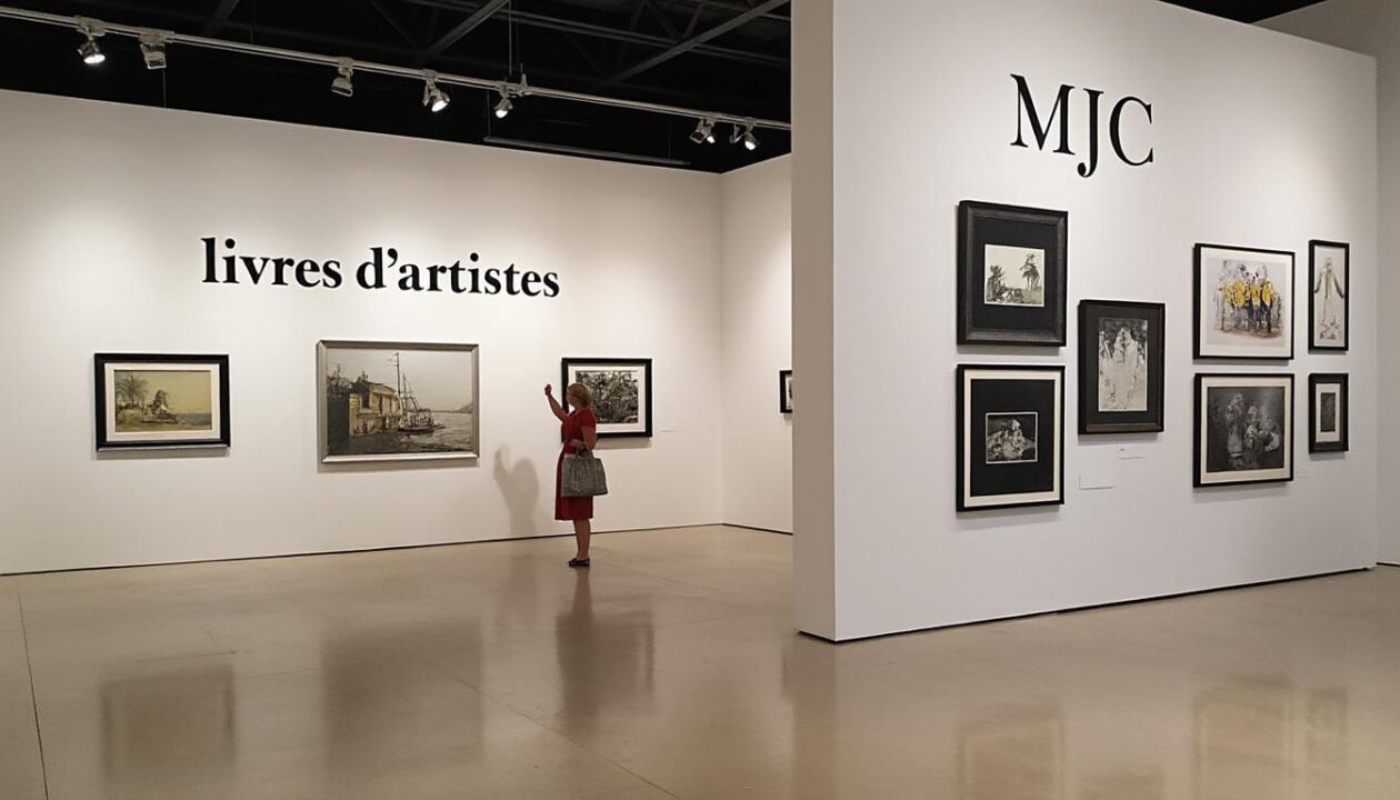 plongez dans l'univers unique des « livres d’artistes » à la mjc, une exposition captivante alliant art et littérature pour une expérience culturelle inoubliable.